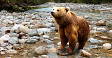 exposition ours