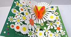 malle pop-up oh pop-up 3