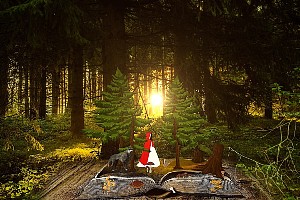 Sélection dans la forêt des contes